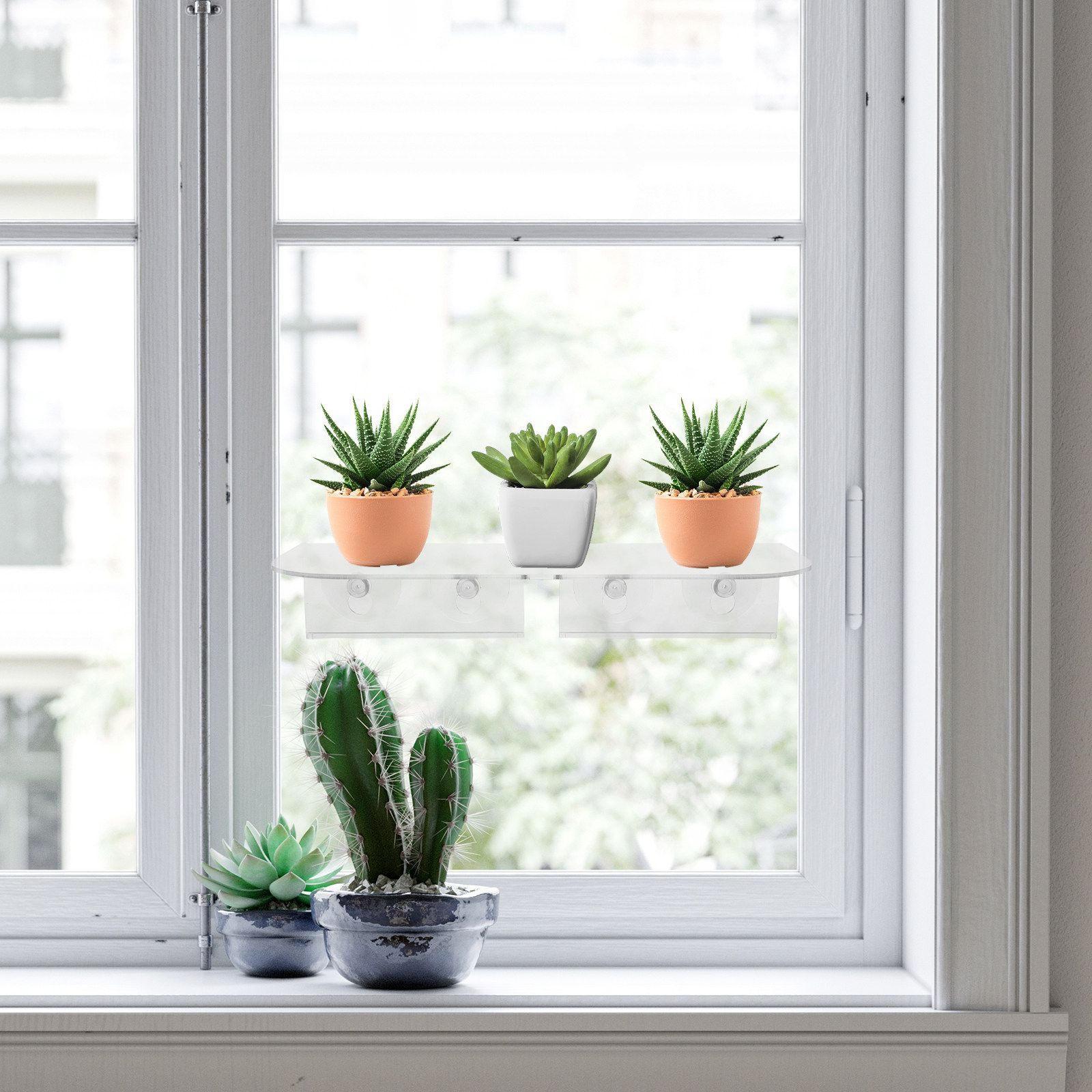 Scaffale per piante da finestr - Floating Shelves recensione e prezzo